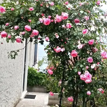 Apartamento Miljana Postira