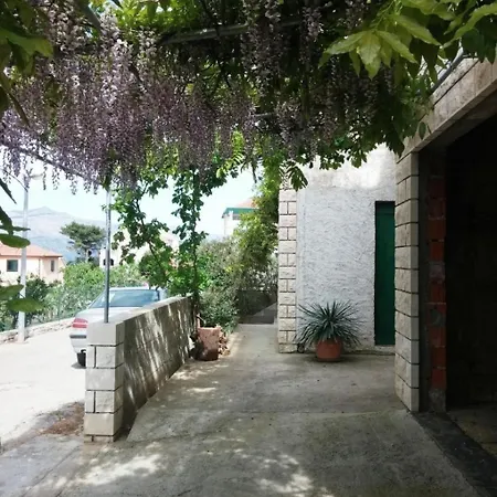 Miljana Apartamento *