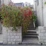 Miljana *