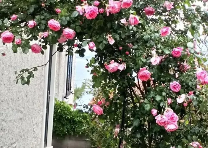 Διαμέρισμα Miljana Postira